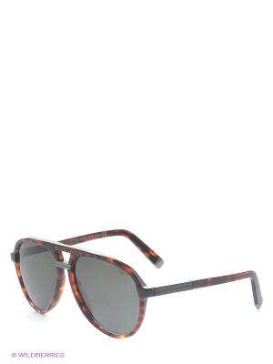 Солнцезащитные очки DQ 0070 54N Dsquared. Цвет: темно-серый, бордовый