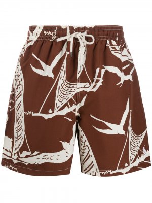 Плавки-шорты с графичным принтом Polo Ralph Lauren. Цвет: коричневый