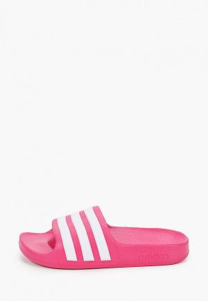Сланцы adidas Originals. Цвет: розовый